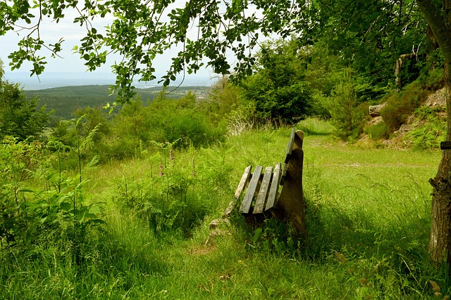速度和灵活 速度和灵活