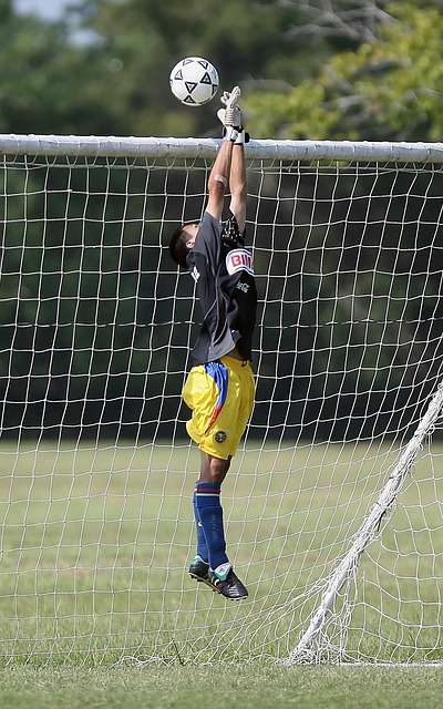 结合自身的 结合自身的